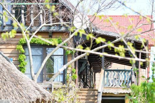 Hostal Pensiunea Yogi