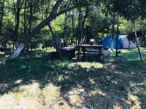 Camping In Clisura Dunarii