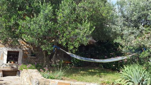 Istrian Stone House