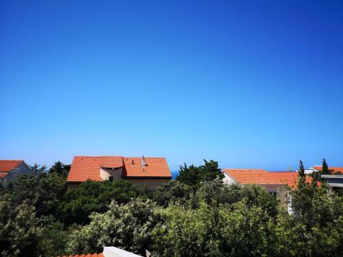 Apartments Davor