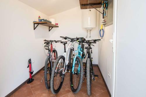 Apartamento Alek