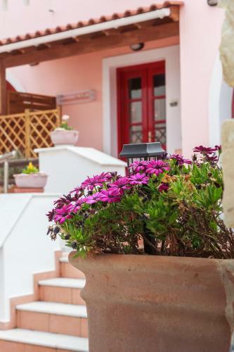 Chalki Apartments - Naxos
