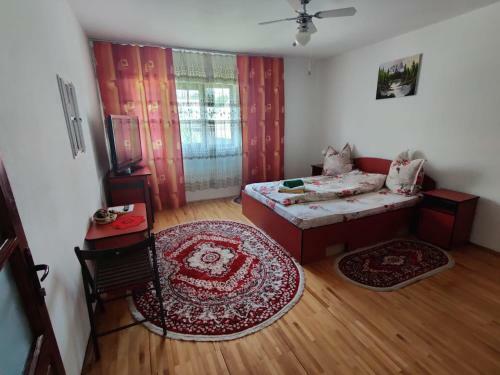 Hostal Cabana Andreea