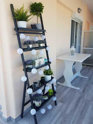 Eva Beach Apartment