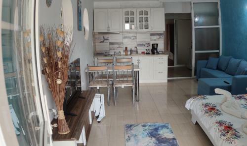 Apartament Miramar Costinesti
