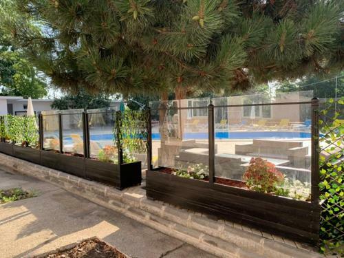 Hostal Relax Spa Costinesti - D'amy