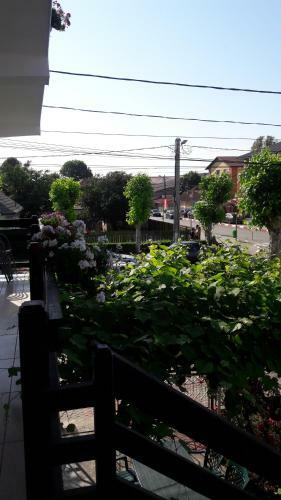 Hostal Vila Liliana