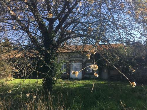 Charming Cozy Guesthouse In Lower Normandy