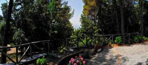 B&B Al Cavalluccio Marino