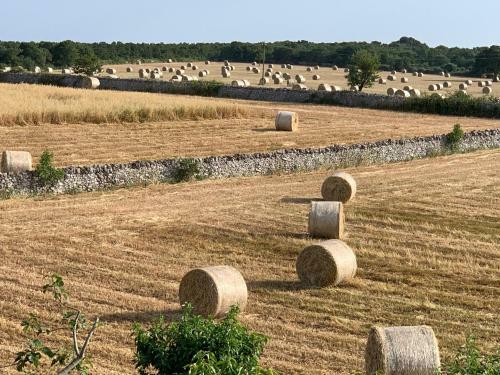 Masseria Chianca " Le Gravine"