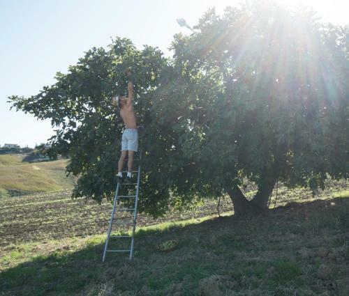 Bed & Breakfast Villa Di Agricoltori