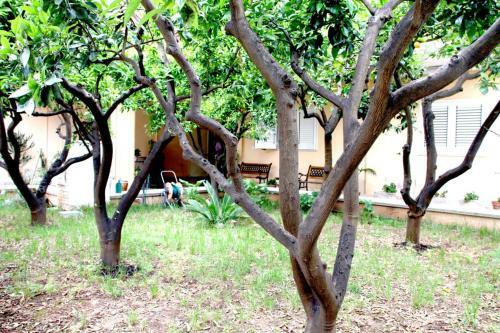 Hostal B&B L' Aranceto