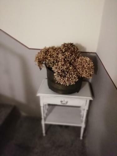Apartamento La Casa Del Girasole