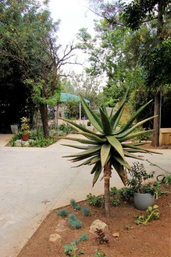 Apartamento The Gatehouse