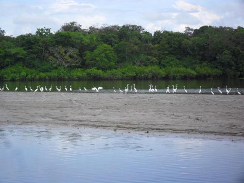 Albergue Amazon Exploring Expedition - Eretzen T� Lodge
