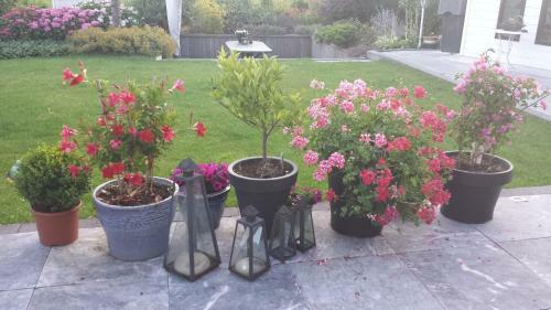 Apartamento Studio Polderpoort