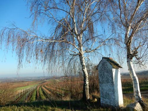 Hostal Pension Rudi - Weingut Kellner