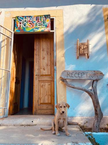 Shkolla Hostel & Camping