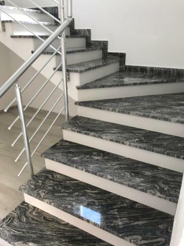 Apartmani Tom