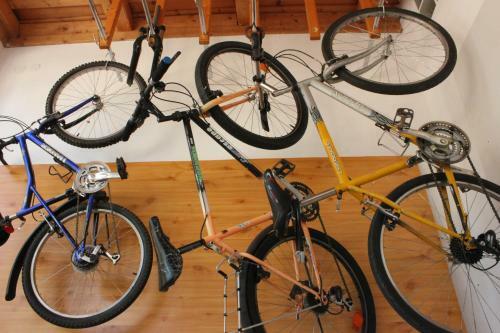 Blue Bike Hostel