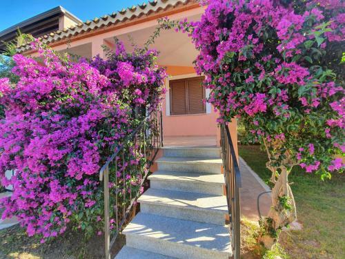 Casa Vacanze L'olivastro Al Mare P Frailis