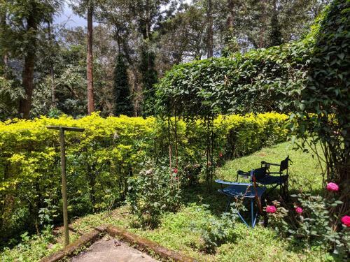 Siderbhan Homestay Chikmagalur