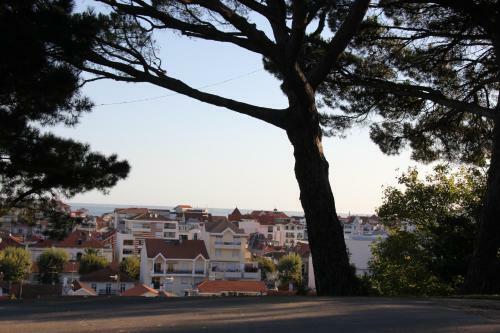Apartamento Le Charme Des Dunes