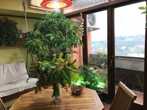 Bed & Breakfast Sole E Fiori