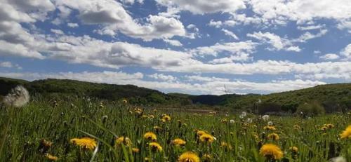 Agroturismo Vila Luna Poema