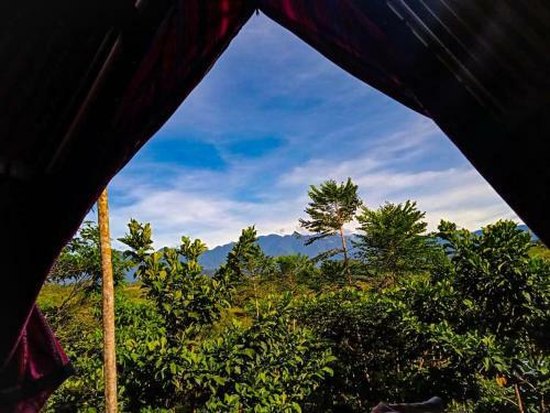 Kindiwayra Ecohostal
