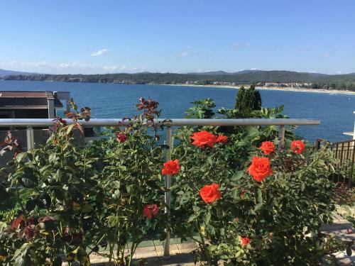 Apartamento Panorama Bay