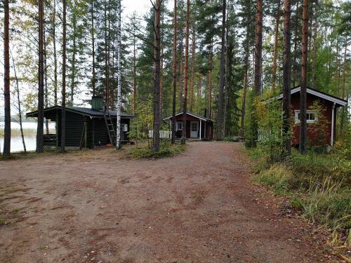 Nestorin Maja