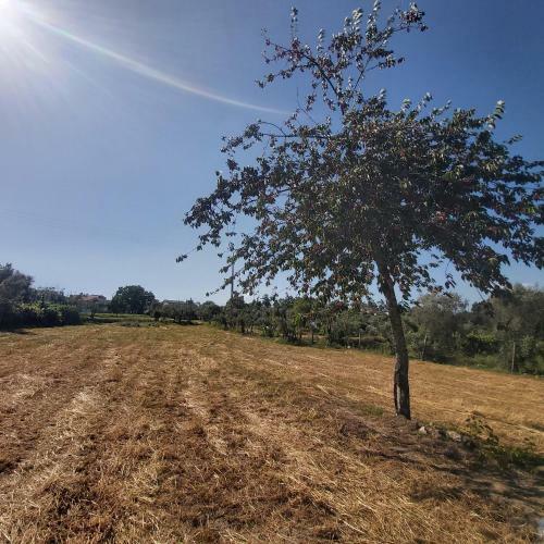 Quinta Jr - Casa De Campo