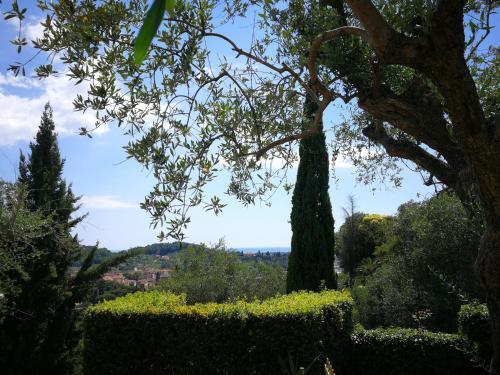 Da Adria Al Corvenale - Casa Vacanze Carrara -