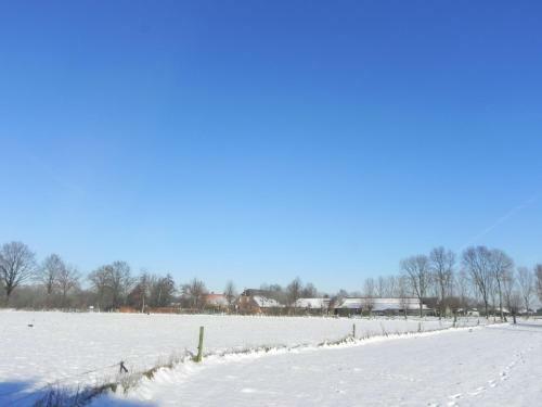 Bed & Breakfast Hoeve De Mertel