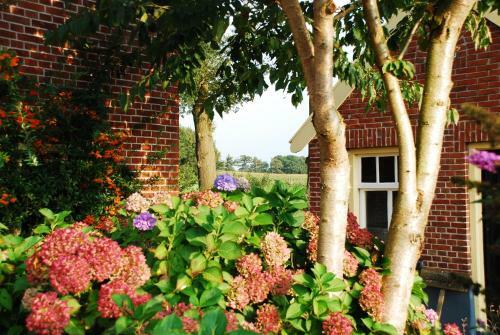 Bed & Breakfast De Bolderie