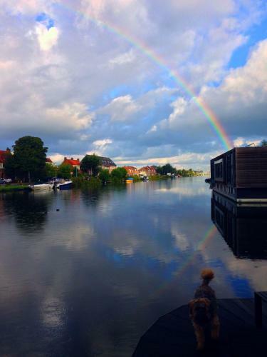 B&B Houseboat Between Amsterdam Windmills