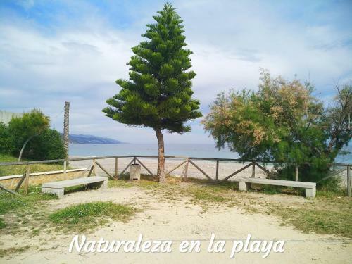Apartamento Primera Linea De Playa Castell De Ferro