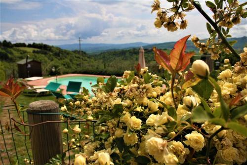 Apartamento Casa Antonio, Chianni