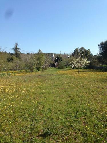 Agroturismo I Matrulli