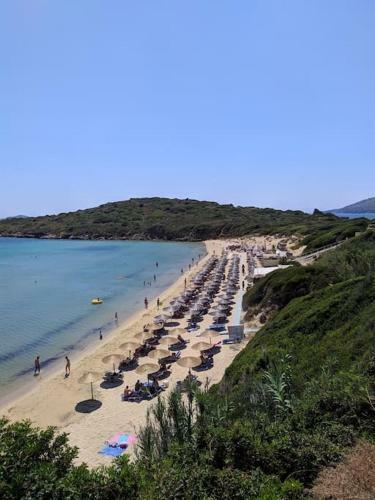Studio Gregory