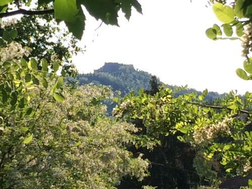 Tana Dell'elfo B&B