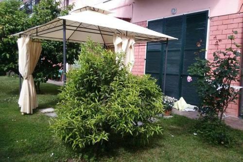 Apartamento La Rosa