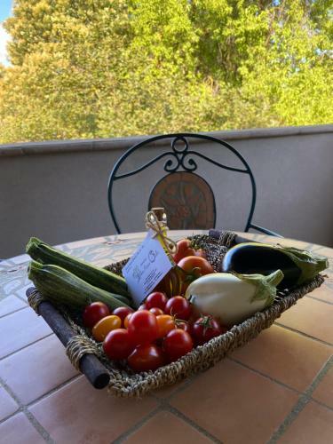 Apartamento Agriturismo Podere Pizzicagallo