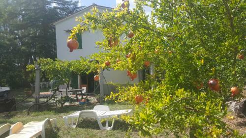 I Gechi - Marina Di Campo