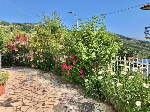 Colline D'argento