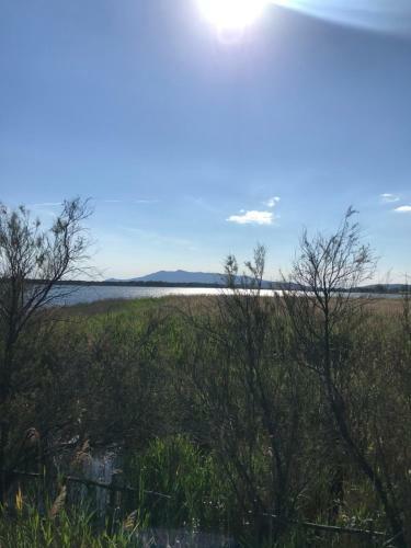 Villa Superb Cottage In Tuscany's Maremma