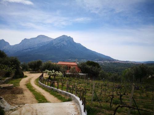 Agroturismo Villa L'oleandro