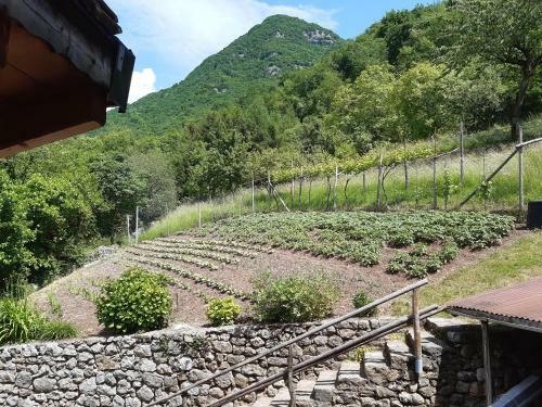 Apartamento Ca' Berti Appartamento Con Terrazza Ville Del Monte