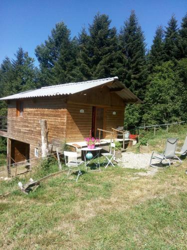 Cabane